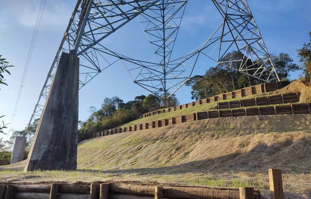 Recuperação e PRAD