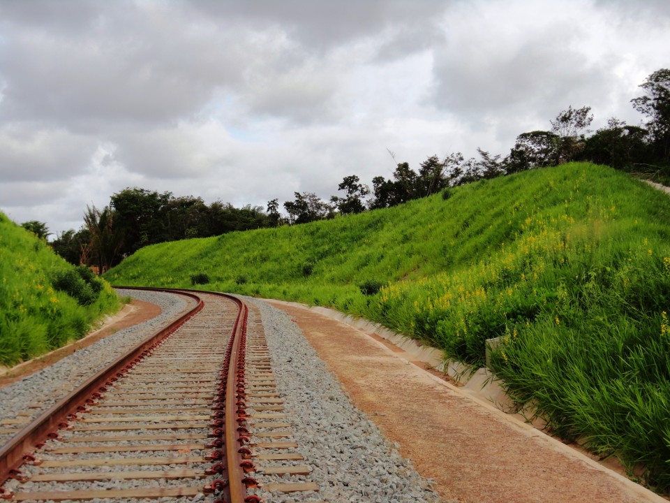 Bioengenharia para Infraestrutura